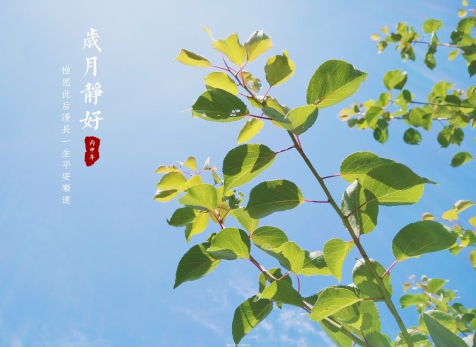 愿歲月靜好，山河無恙
